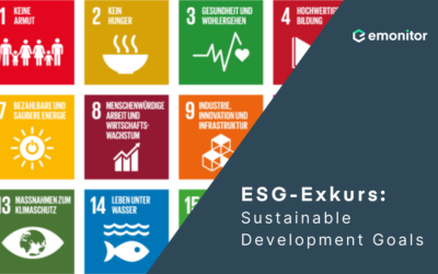 ESG-Exkurs: Sustainable Development Goals